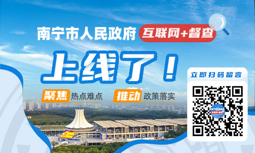 市政府互联网督察系统